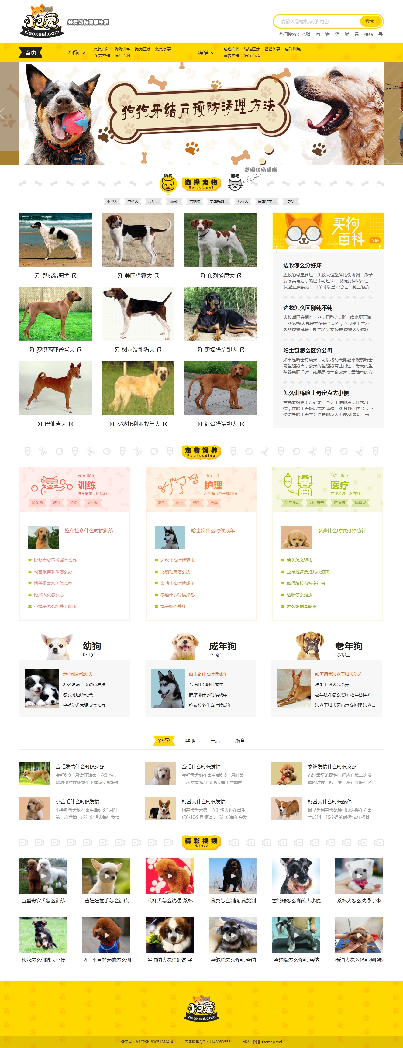 96kaifa仿《小可爱宠物网》完整版源码下载+火车头采集+手机版 专业宠物资讯平台源码